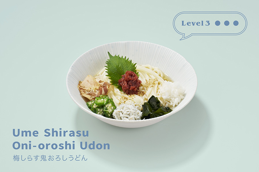 梅しらす鬼おろしうどん