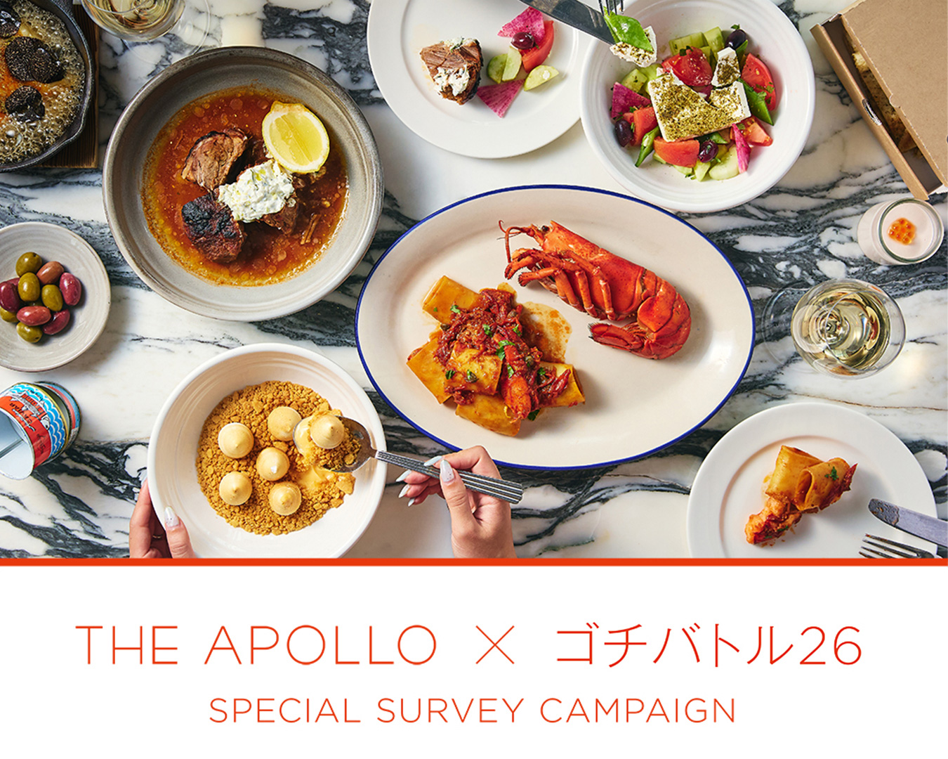 THE APOLLO × ゴチになります26　SPECIAL SURVEY CAMPAIGN